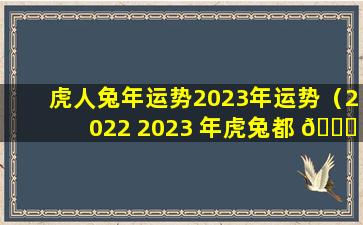 虎人兔年运势2023年运势（2022 2023 年虎兔都 🐒 是啥 🐋 命）